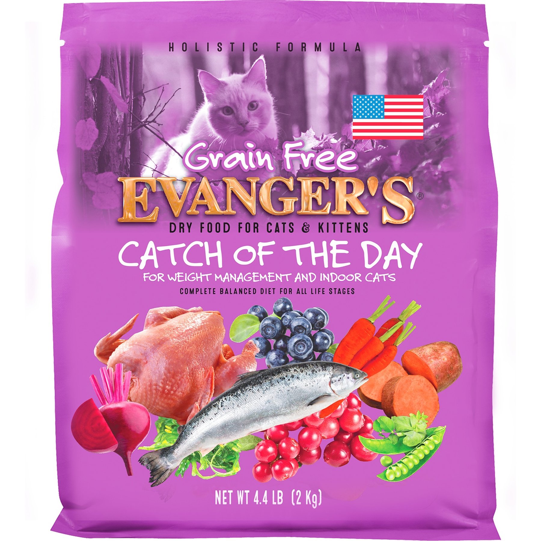 Evanger's Grain-Free Catch of the Day Dry Cat & Kitten Food, 4.4-lb bag
