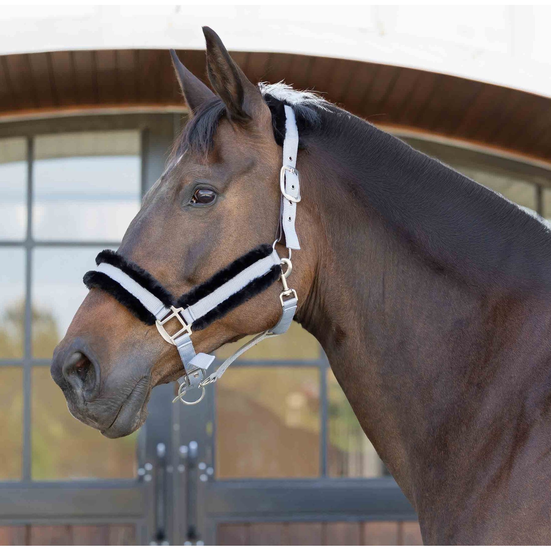 Equinavia Valkyrie Ultra Fleece Horse Breakaway Halter, Slate Grey/Black, Horse