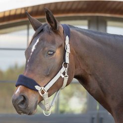 Equinavia Saga Fleece Padded Breakaway Horse Halter, Light Olive/Black, Horse