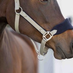Equinavia Saga Fleece Padded Breakaway Horse Halter, Light Olive/Black, Horse slide 2 of 5