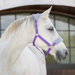 Equinavia Saga Fleece Padded Breakaway Horse Halter, Deep Lavender/Slate Grey, Horse slide 2 of 3