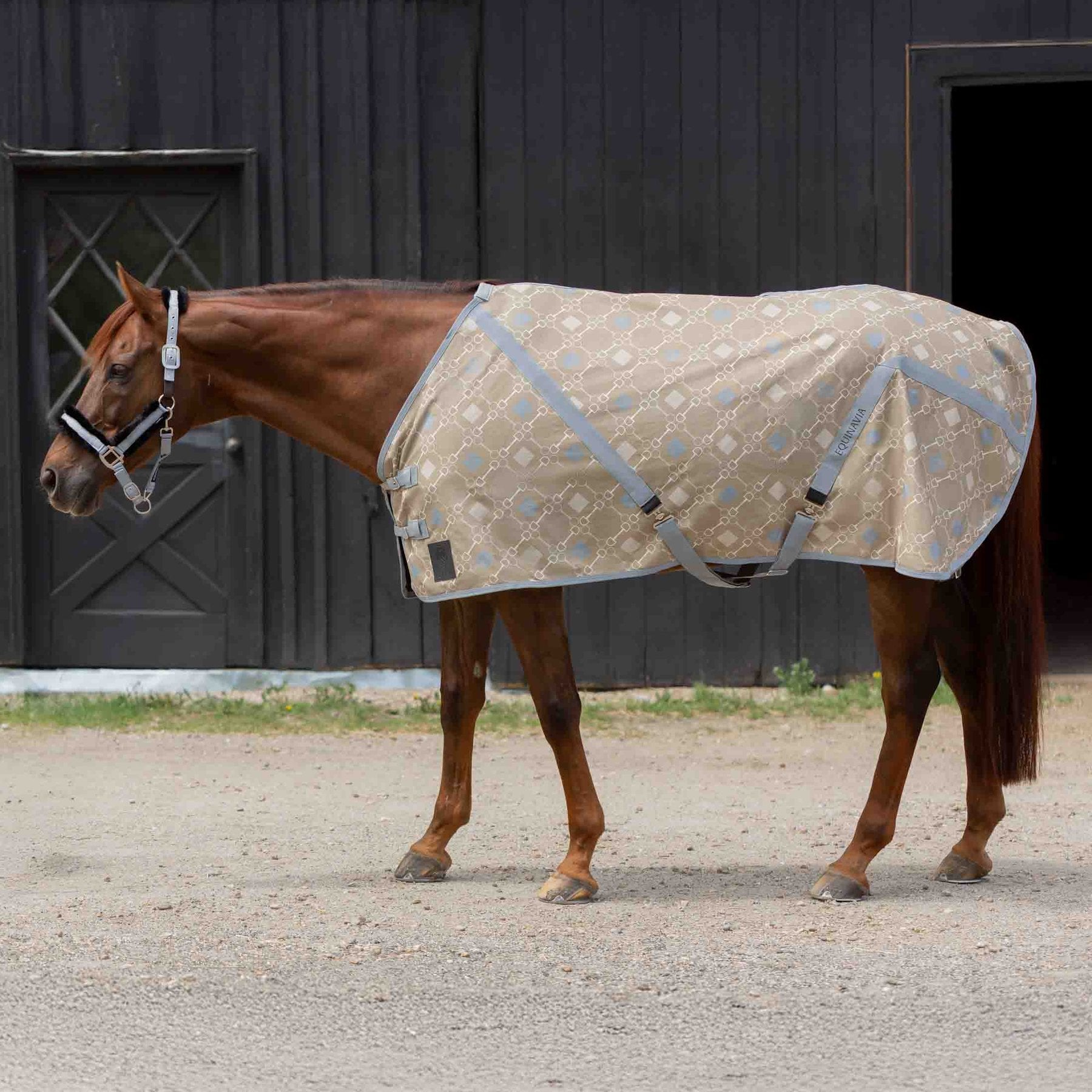 Equinavia Fryd Cotton Horse Stable Sheet, Light Olive/Slate Grey, 76-in