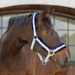 Equinavia Valkyrie Ultra Fleece Horse Breakaway Halter, Sweet Blue/Navy, Horse