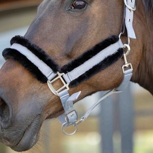 Equinavia Valkyrie Ultra Fleece Horse Breakaway Halter, Slate Grey/Black, Horse