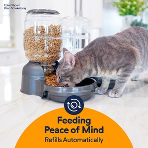 Petmate Replendish Dishwasher Safe Plastic Dog Feeder, Pearl Smoke Gray, 2-lb