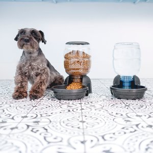 Petmate Replendish Dishwasher Safe Plastic Dog Feeder, Pearl Smoke Gray, 2-lb