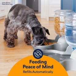 Petmate Replendish Dishwasher Safe Plastic Dog Feeder, Pearl Smoke Gray, 5-lb slide 2 of 7