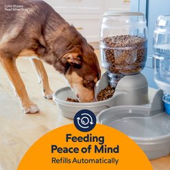 Petmate Replendish Dishwasher Safe Plastic Dog Feeder, Pearl Smoke Gray, 10-lb slide 2 of 7