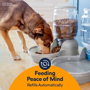 Petmate Replendish Dishwasher Safe Plastic Dog Feeder, Pearl Smoke Gray, 10-lb