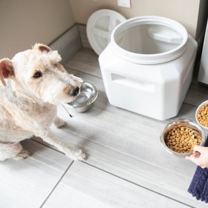 Gamma2 Vittles Vault Pet Food Storage, Gray, 30-lb