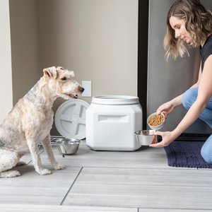 Gamma2 Vittles Vault Pet Food Storage, Gray, 30-lb