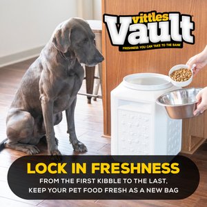 Gamma2 Vittles Vault Pawprint Pet Food Storage, Gray, 35-lb