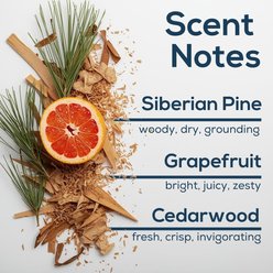 Scent Fill Natural Forest Essence Plug In Dog Air Freshener Kit, 20-mL bottle, 3 count slide 2 of 4