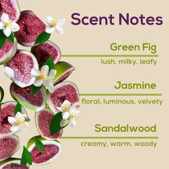 Scent Fill Natural Fig & Whipped Vanilla Plug In Dog Air Freshener Kit, 20-mL bottle, 3 count slide 2 of 4