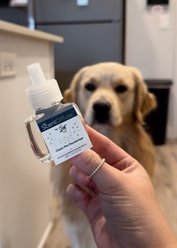 Scent Fill ScentDiffuse Plug In Dog Air Freshener Kit, 20-mL bottle, 3 count slide 2 of 2