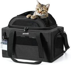 Pecute Airline Approved Expandable Breathable Soft-Sided Travel Bag Dog & Cat Carrier with Locking Zippers, Deep Grey