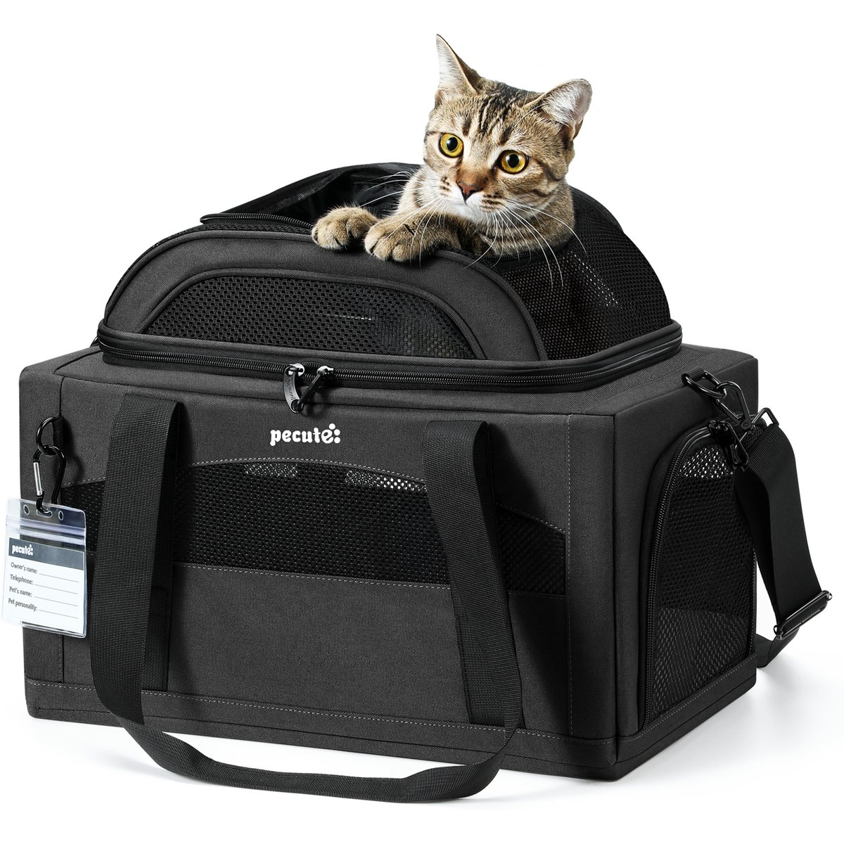 Pecute Top Expandable Airline Approved Bag Dog & Cat Carrier, 16.5-in, Dark Grey