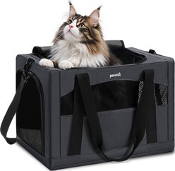 Pecute Scientific Hidden Partition Breathable Portable Travel Bag Dog & Cat Carrier, Deep Grey, X-Large