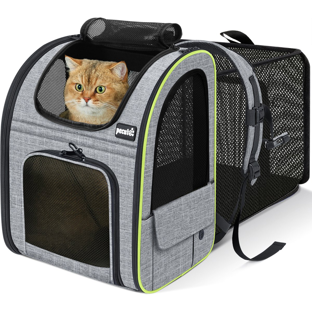 Pecute Expandable with Roll-up Mesh Backpack Dog & Cat Carrier, Grey
