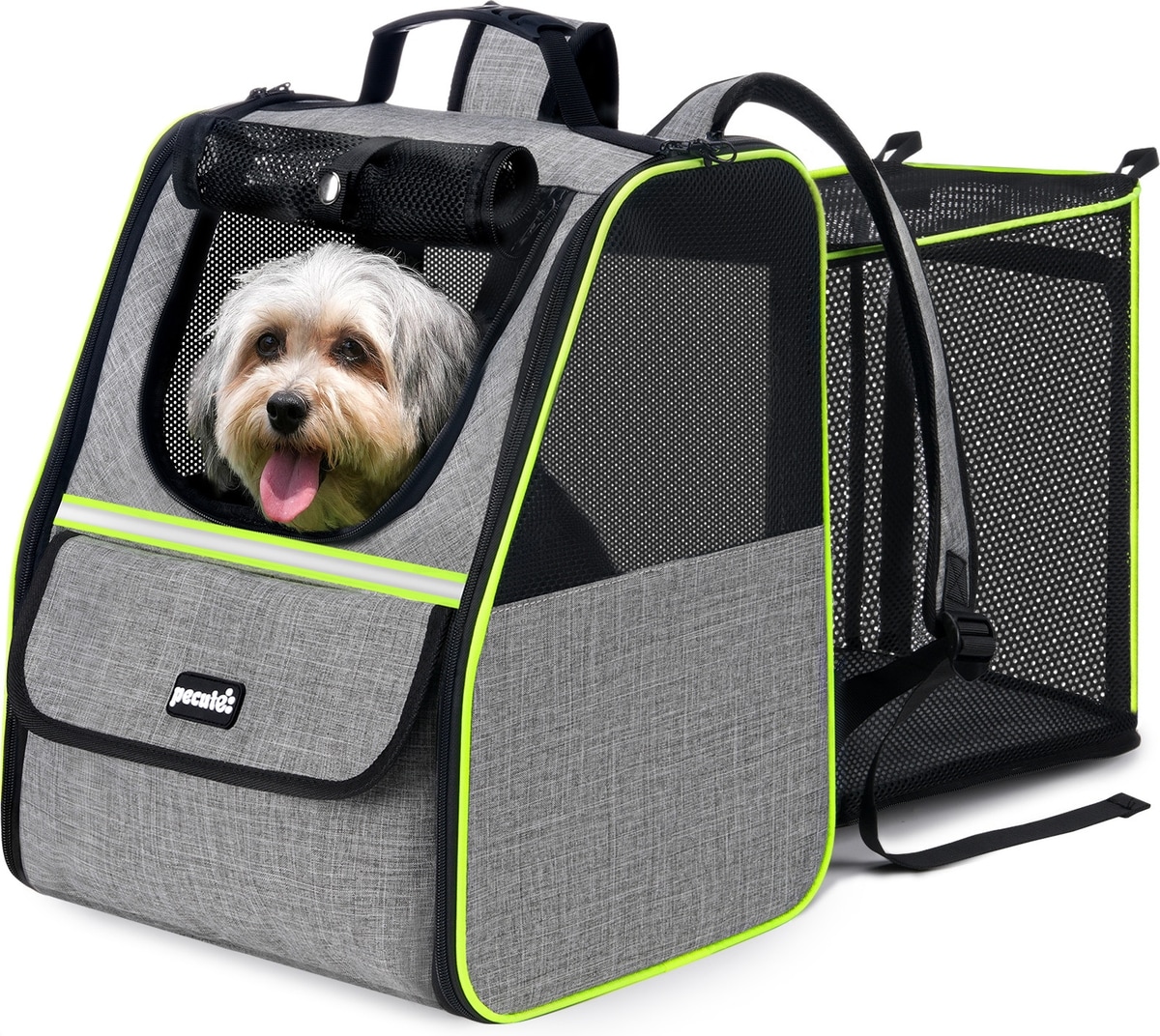 PECUTE Expandable Mesh Backpack Dog & Cat Carrier with Safety
