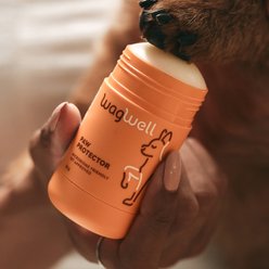 WagWell Paw Protector Hydrating Dog Paw Cream, Orange, 50 g slide 2 of 7