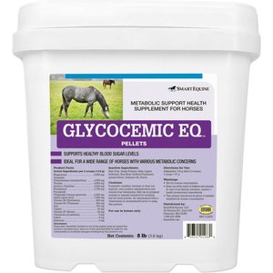 SMARTPAK Acetyl L-Carnitine HCl Powder Supplement for Horses, 1-lb bag