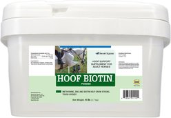 SmartPak Hoof Biotin Powder Supplement for Horses, 6-lb