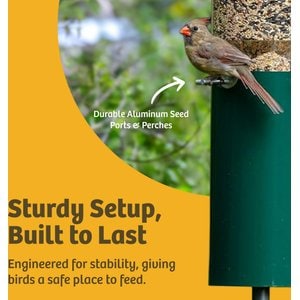 Birds Choice Squirrel Proof Classic Tube Wild Bird Feeder with Pole & Baffle, Green