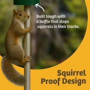 Birds Choice Squirrel Proof Classic Tube Wild Bird Feeder with Pole & Baffle, Green