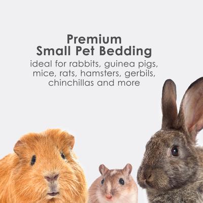 Show full view: Kaytee Clean & Cozy Natural Small Animal Bedding, 72-L slide 3 of 13