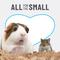Show in main carousel: Kaytee Clean & Cozy Natural Small Animal Bedding, 72-L slide 6 of 13