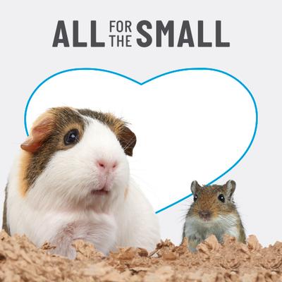 Show full view: Kaytee Clean & Cozy Natural Small Animal Bedding, 72-L slide 6 of 13