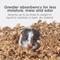 Show in main carousel: Kaytee Clean & Cozy Natural Small Animal Bedding, 72-L slide 4 of 13