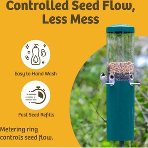 Birds Choice Squirrel Proof Classic Tube Wild Bird Feeder with Pole & Baffle, Green