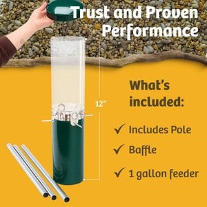 Birds Choice Squirrel Proof Classic Tube Wild Bird Feeder with Pole & Baffle, Green