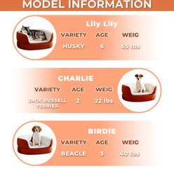 ATJafurn Luxurious Indoor Faux Shearling Semi Wrapped Round Orthopedic Furniture Style Sofa Elevated Dog Couch Bed, Orange, Large: 39.4-in slide 2 of 9