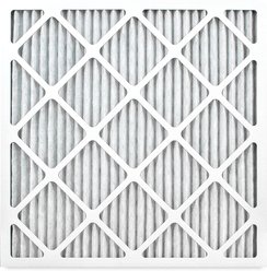 Greentech Paws & Pollen Merv 11 HVAC Filter with ODOGard, 20 x 25 x 1-in, 2 count