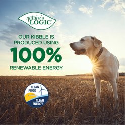 Nature's Logic 100% Natural Pumpkin Purée Dog & Cat Food Supplement, 15-oz can, 12 pack slide 2 of 9