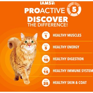 Iams ProActive Health Adult Hairball Care with Chicken & Salmon Dry Cat Food, 16-lb bag