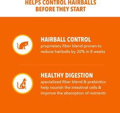 Iams ProActive Health Adult Hairball Care with Chicken & Salmon Dry Cat Food, 16-lb bag slide 2 of 9