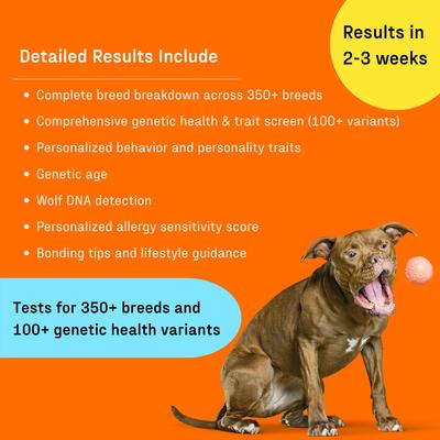 Show full view: DNA My Dog Premium Breed Identification Test slide 10 of 11