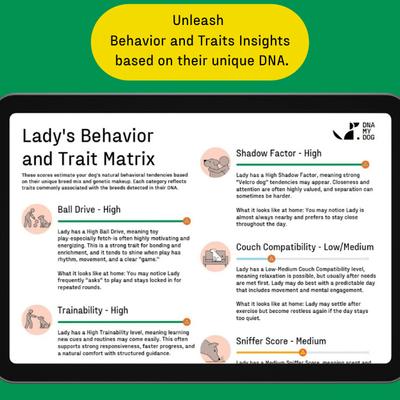 Show full view: DNA My Dog Essential Breed Identification Test slide 8 of 12