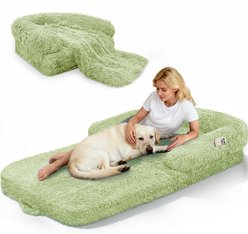 PawsNestParlor Foldable Oversize Human Orthopedic Covered Dog Bed with 10-cm Thick Memory Foam & Blanket, 71 x 38 x 9-in, Green