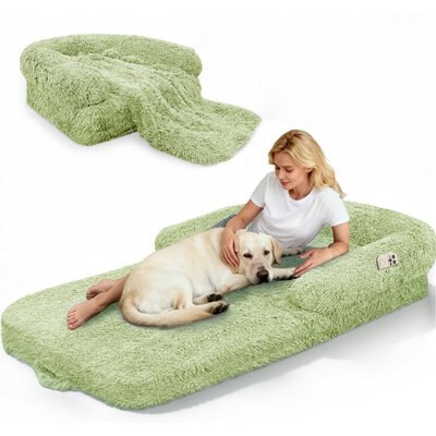 PawsNestParlor PawsNestParlor Foldable Oversize Human Orthopedic Covered Dog Bed with 10-cm Thick Memory Foam & Blanket, 71 x 38 x 9-in, Green
