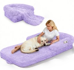 PawsNestParlor Foldable Oversize Human Orthopedic Covered Dog Bed with 10-cm Thick Memory Foam & Blanket, 71 x 38 x 9-in, Purple