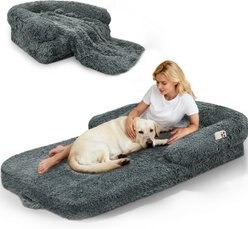 PawsNestParlor Foldable Oversize Human Orthopedic Covered Dog Bed with 10-cm Thick Memory Foam & Blanket, 71 x 38 x 9-in, Dark Grey