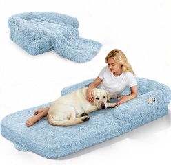PawsNestParlor Foldable Oversize Human Orthopedic Covered Dog Bed with 10-cm Thick Memory Foam & Blanket, 71 x 38 x 9-in, Blue