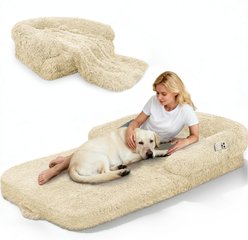 PawsNestParlor Foldable Oversize Human Orthopedic Covered Dog Bed with 10-cm Thick Memory Foam & Blanket, 71 x 38 x 9-in, Beige slide 1 of 7