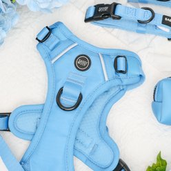 Sassy Woof Step-in Basic Dog Harness, Hydrangea, Small: 14 to 24-in chest slide 2 of 6