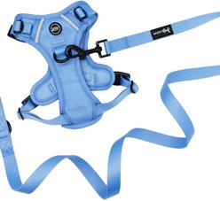 Sassy Woof Hydrangea Dog Harness & Leash, Medium: 16 to 28-in chest